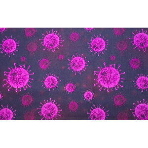 10cm Baumwolldruck (feiner Popelin) Virus pink  (Grundpreis € 12,00/m)